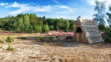 Natuurgebied de Drentsche Aa